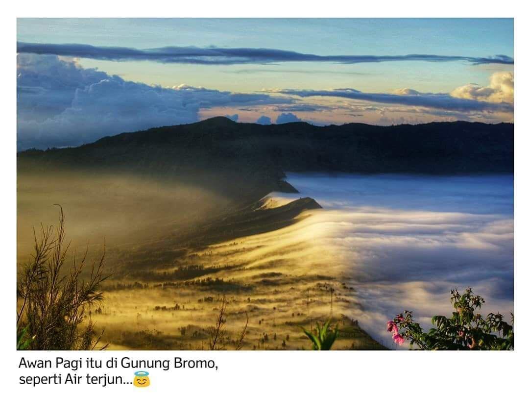 Bromo Backpacker Tosari Apartment Pasuruan Ngoại thất bức ảnh
